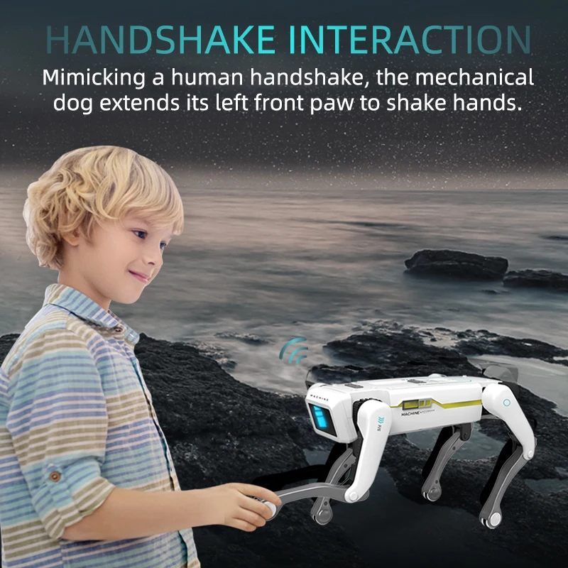 Smart Dog Multifunctional Toy 
